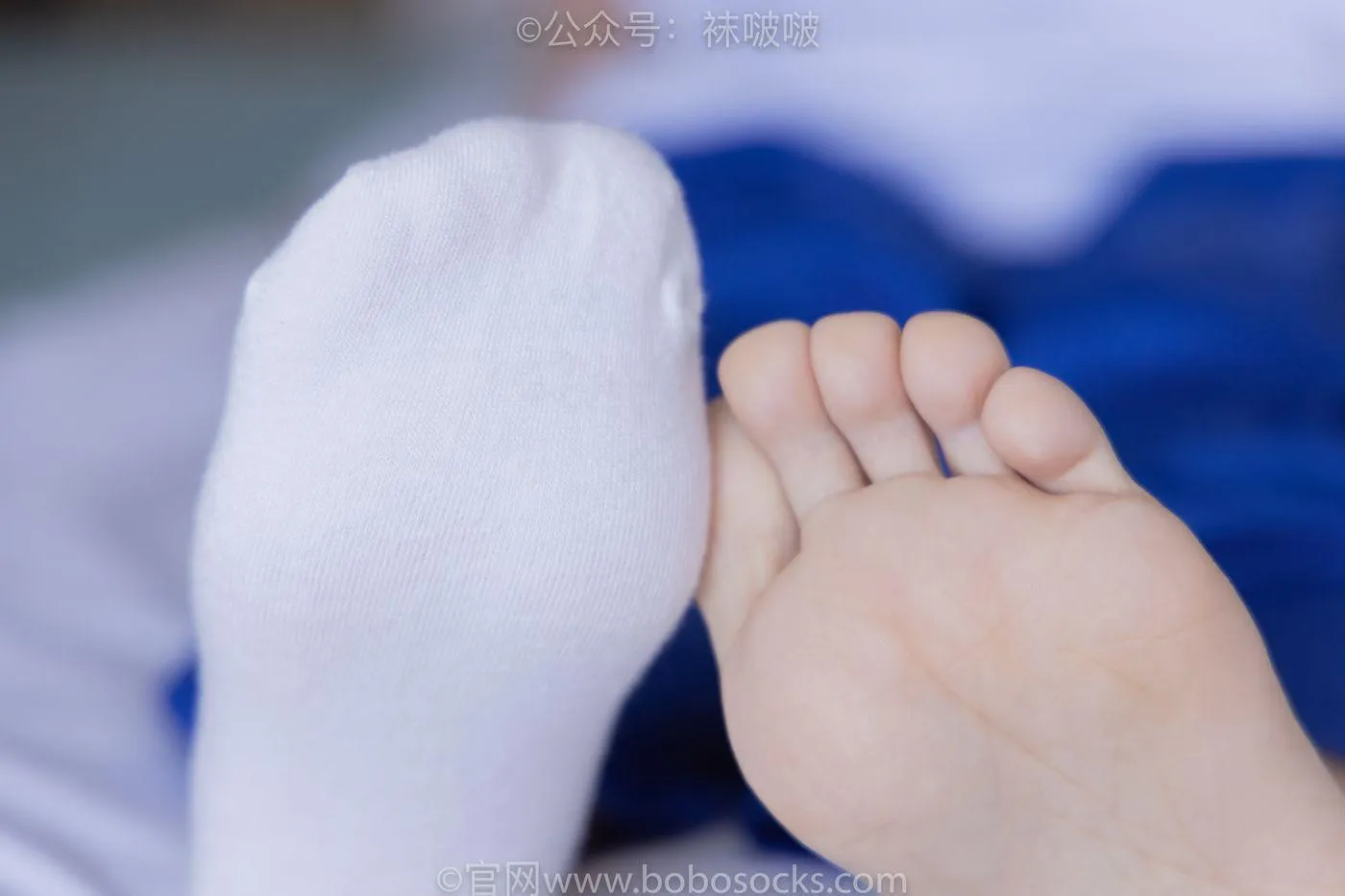 [BoBoSocks袜啵啵]NO.039 小奶熊-校服、vans帆布鞋、短白棉袜、裸足 [154P]插图6